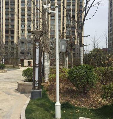 道路（lù）標準監控立杆